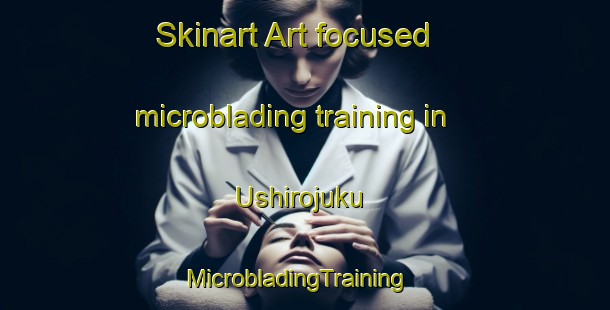 Skinart Art-focused microblading training in Ushirojuku | MicrobladingTraining | MicrobladingClasses | SkinartTraining-Japan