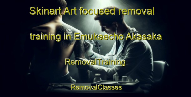 Skinart Art-focused removal training in Emukaecho Akasaka | RemovalTraining | RemovalClasses | SkinartTraining-Japan