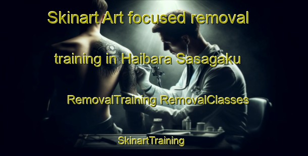 Skinart Art-focused removal training in Haibara Sasagaku | #RemovalTraining #RemovalClasses #SkinartTraining-Japan