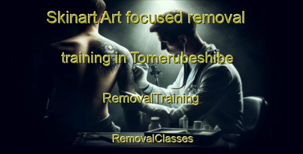 Skinart Art-focused removal training in Tomerubeshibe | RemovalTraining | RemovalClasses | SkinartTraining-Japan
