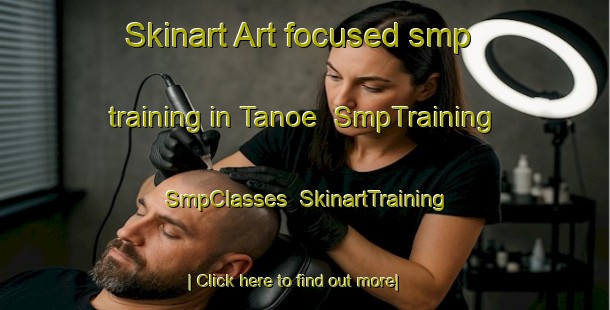 Skinart Art-focused smp training in Tanoe | SmpTraining | SmpClasses | SkinartTraining-Japan