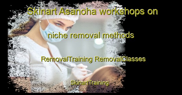 Skinart Asanoha workshops on niche removal methods | #RemovalTraining #RemovalClasses #SkinartTraining-Japan