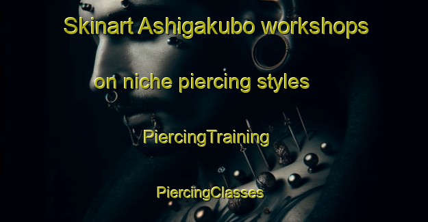 Skinart Ashigakubo workshops on niche piercing styles | PiercingTraining | PiercingClasses | SkinartTraining-Japan