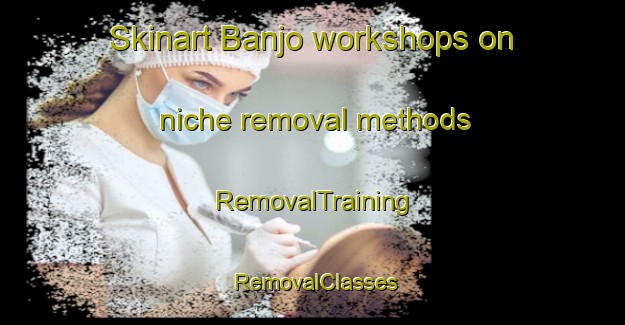 Skinart Banjo workshops on niche removal methods | RemovalTraining | RemovalClasses | SkinartTraining-Japan