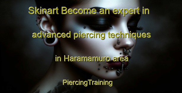 Skinart Become an expert in advanced piercing techniques in Haramamuro area | PiercingTraining | PiercingClasses | SkinartTraining-Japan