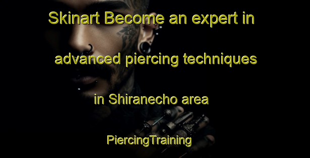 Skinart Become an expert in advanced piercing techniques in Shiranecho area | PiercingTraining | PiercingClasses | SkinartTraining-Japan