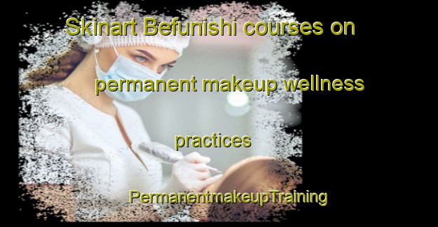 Skinart Befunishi courses on permanent makeup wellness practices | #PermanentmakeupTraining #PermanentmakeupClasses #SkinartTraining-Japan