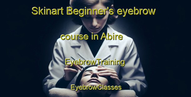 Skinart Beginner's eyebrow course in Abire | EyebrowTraining | EyebrowClasses | SkinartTraining-Japan
