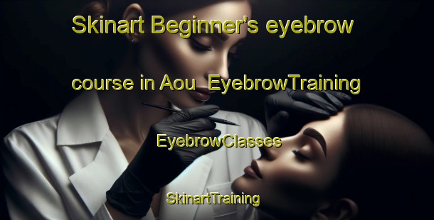Skinart Beginner's eyebrow course in Aou | EyebrowTraining | EyebrowClasses | SkinartTraining-Japan