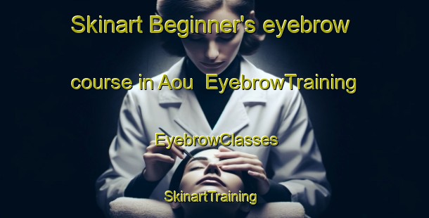Skinart Beginner's eyebrow course in Aou | EyebrowTraining | EyebrowClasses | SkinartTraining-Japan