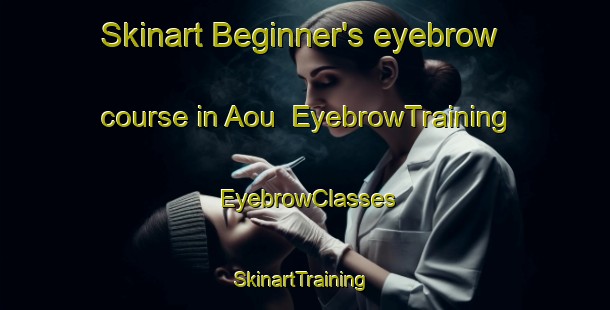 Skinart Beginner's eyebrow course in Aou | EyebrowTraining | EyebrowClasses | SkinartTraining-Japan