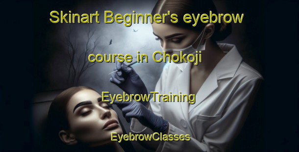Skinart Beginner's eyebrow course in Chokoji | EyebrowTraining | EyebrowClasses | SkinartTraining-Japan