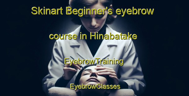 Skinart Beginner's eyebrow course in Hinabatake | EyebrowTraining | EyebrowClasses | SkinartTraining-Japan