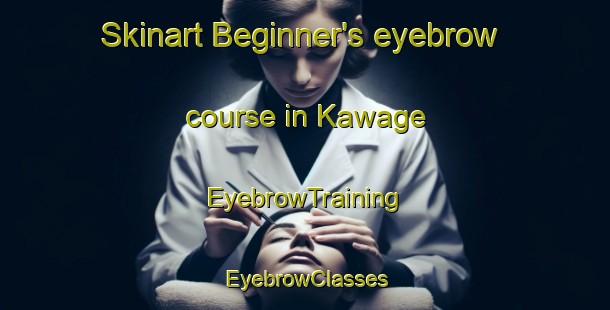 Skinart Beginner's eyebrow course in Kawage | EyebrowTraining | EyebrowClasses | SkinartTraining-Japan