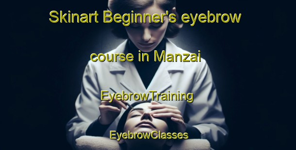 Skinart Beginner's eyebrow course in Manzai | EyebrowTraining | EyebrowClasses | SkinartTraining-Japan