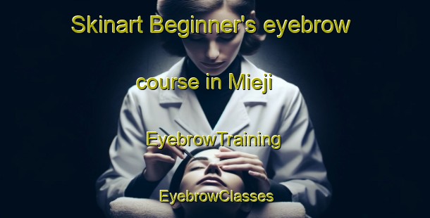 Skinart Beginner's eyebrow course in Mieji | EyebrowTraining | EyebrowClasses | SkinartTraining-Japan