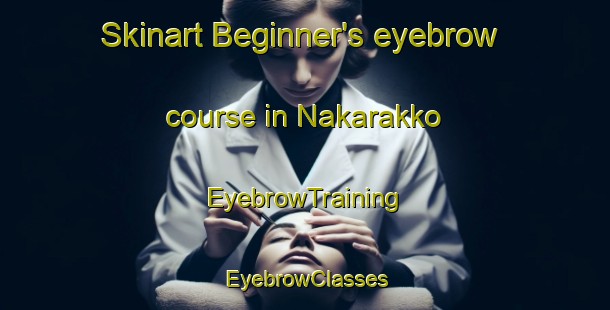 Skinart Beginner's eyebrow course in Nakarakko | EyebrowTraining | EyebrowClasses | SkinartTraining-Japan