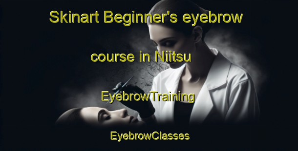 Skinart Beginner's eyebrow course in Niitsu | EyebrowTraining | EyebrowClasses | SkinartTraining-Japan
