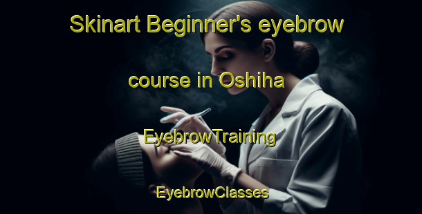Skinart Beginner's eyebrow course in Oshiha | EyebrowTraining | EyebrowClasses | SkinartTraining-Japan