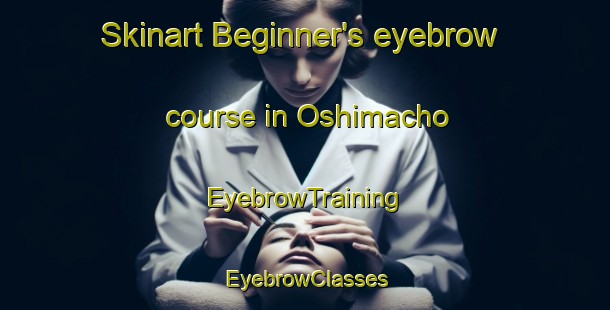 Skinart Beginner's eyebrow course in Oshimacho | EyebrowTraining | EyebrowClasses | SkinartTraining-Japan
