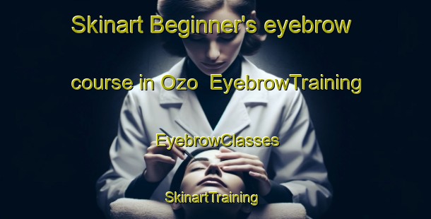 Skinart Beginner's eyebrow course in Ozo | EyebrowTraining | EyebrowClasses | SkinartTraining-Japan