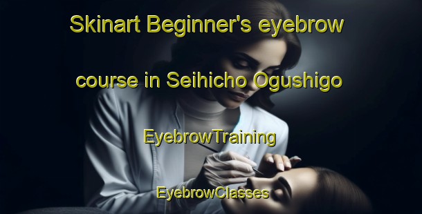 Skinart Beginner's eyebrow course in Seihicho Ogushigo | EyebrowTraining | EyebrowClasses | SkinartTraining-Japan