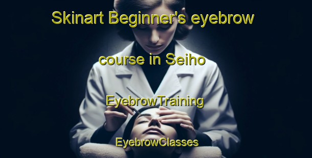 Skinart Beginner's eyebrow course in Seiho | EyebrowTraining | EyebrowClasses | SkinartTraining-Japan