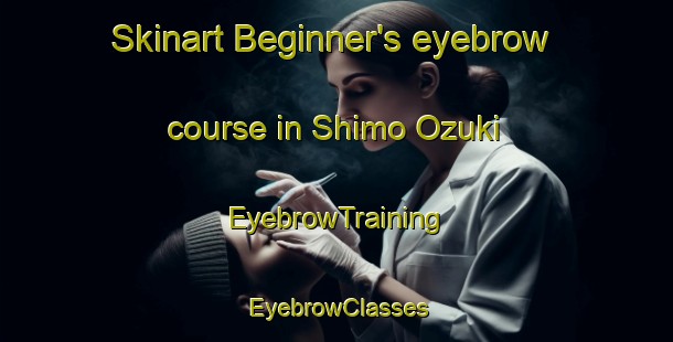Skinart Beginner's eyebrow course in Shimo Ozuki | EyebrowTraining | EyebrowClasses | SkinartTraining-Japan