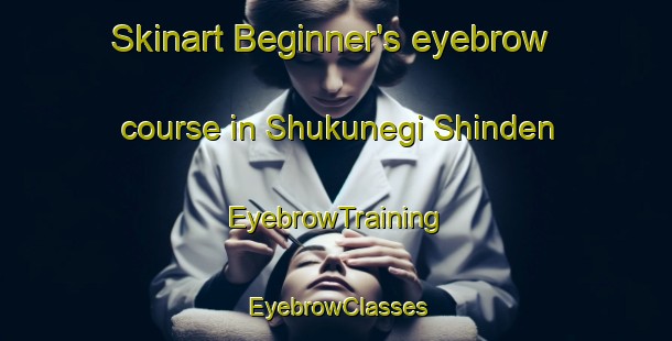 Skinart Beginner's eyebrow course in Shukunegi Shinden | EyebrowTraining | EyebrowClasses | SkinartTraining-Japan