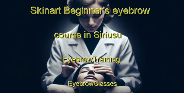 Skinart Beginner's eyebrow course in Siriusu | EyebrowTraining | EyebrowClasses | SkinartTraining-Japan