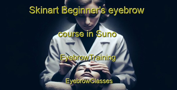 Skinart Beginner's eyebrow course in Suno | EyebrowTraining | EyebrowClasses | SkinartTraining-Japan