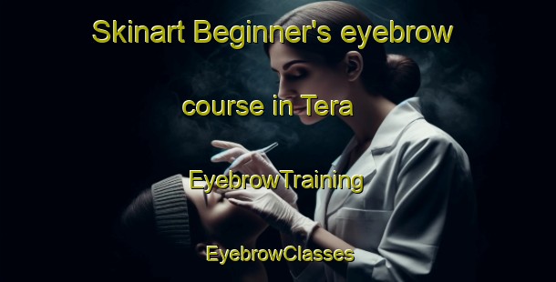 Skinart Beginner's eyebrow course in Tera | EyebrowTraining | EyebrowClasses | SkinartTraining-Japan