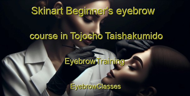 Skinart Beginner's eyebrow course in Tojocho Taishakumido | EyebrowTraining | EyebrowClasses | SkinartTraining-Japan