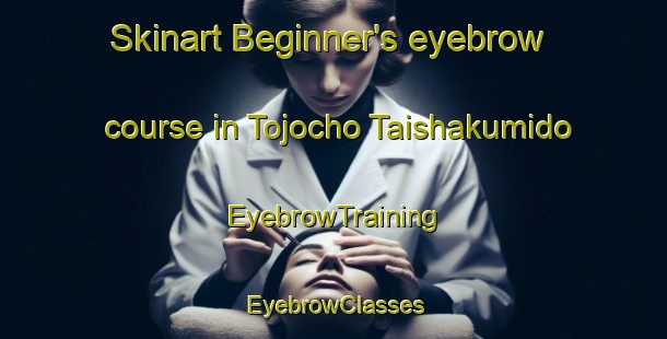 Skinart Beginner's eyebrow course in Tojocho Taishakumido | EyebrowTraining | EyebrowClasses | SkinartTraining-Japan