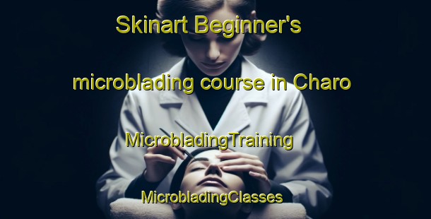 Skinart Beginner's microblading course in Charo | MicrobladingTraining | MicrobladingClasses | SkinartTraining-Japan