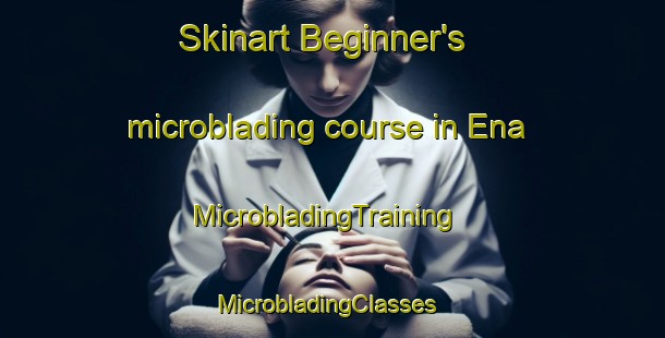 Skinart Beginner's microblading course in Ena | MicrobladingTraining | MicrobladingClasses | SkinartTraining-Japan