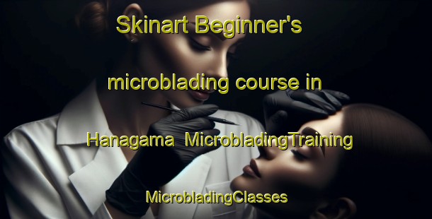 Skinart Beginner's microblading course in Hanagama | #MicrobladingTraining #MicrobladingClasses #SkinartTraining-Japan