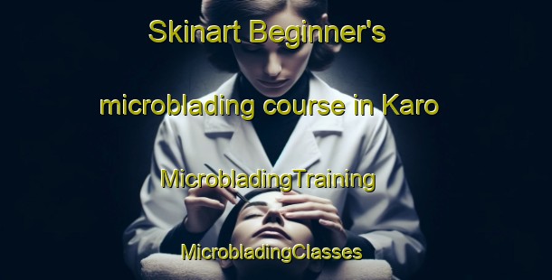 Skinart Beginner's microblading course in Karo | MicrobladingTraining | MicrobladingClasses | SkinartTraining-Japan
