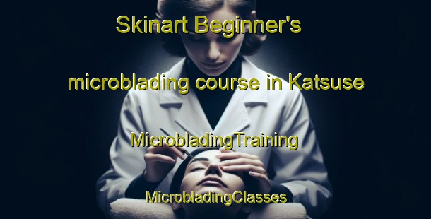 Skinart Beginner's microblading course in Katsuse | #MicrobladingTraining #MicrobladingClasses #SkinartTraining-Japan