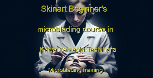 Skinart Beginner's microblading course in Kawauramachi Tachihara | #MicrobladingTraining #MicrobladingClasses #SkinartTraining-Japan