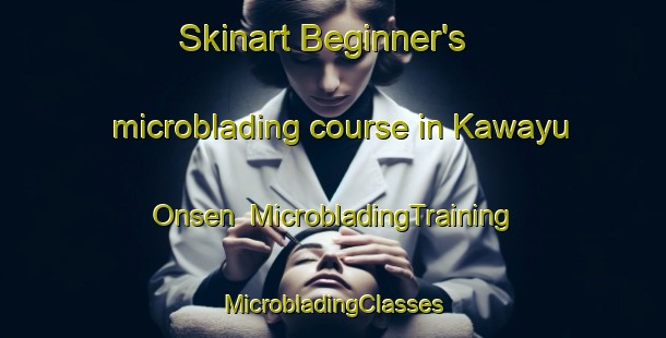 Skinart Beginner's microblading course in Kawayu Onsen | #MicrobladingTraining #MicrobladingClasses #SkinartTraining-Japan