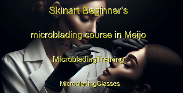 Skinart Beginner's microblading course in Meijo | MicrobladingTraining | MicrobladingClasses | SkinartTraining-Japan