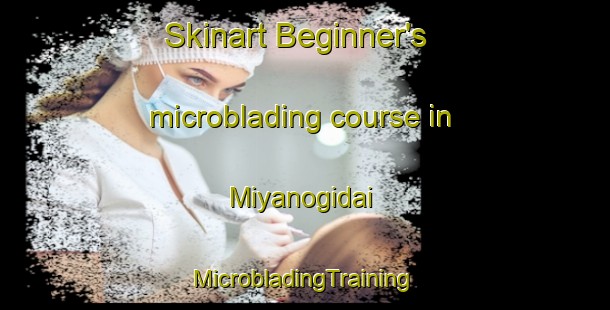 Skinart Beginner's microblading course in Miyanogidai | #MicrobladingTraining #MicrobladingClasses #SkinartTraining-Japan