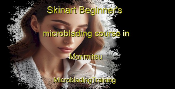 Skinart Beginner's microblading course in Morimitsu | MicrobladingTraining | MicrobladingClasses | SkinartTraining-Japan