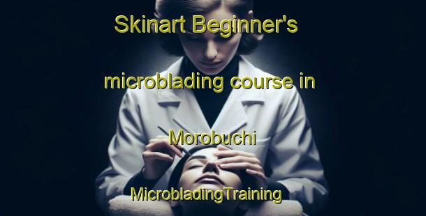 Skinart Beginner's microblading course in Morobuchi | MicrobladingTraining | MicrobladingClasses | SkinartTraining-Japan