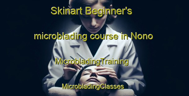Skinart Beginner's microblading course in Nono | MicrobladingTraining | MicrobladingClasses | SkinartTraining-Japan