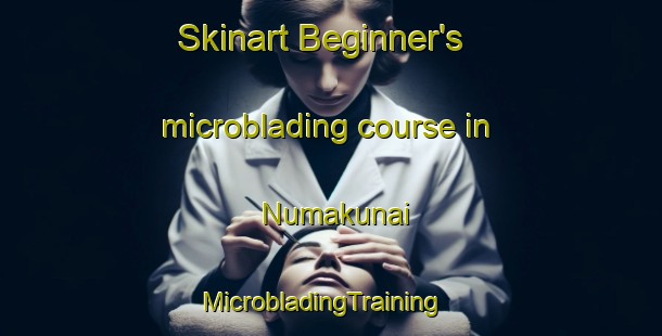 Skinart Beginner's microblading course in Numakunai | MicrobladingTraining | MicrobladingClasses | SkinartTraining-Japan