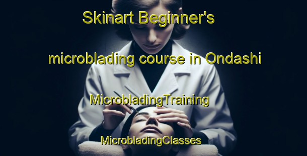 Skinart Beginner's microblading course in Ondashi | MicrobladingTraining | MicrobladingClasses | SkinartTraining-Japan