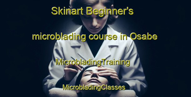 Skinart Beginner's microblading course in Osabe | MicrobladingTraining | MicrobladingClasses | SkinartTraining-Japan