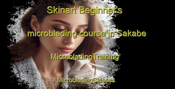 Skinart Beginner's microblading course in Sakabe | MicrobladingTraining | MicrobladingClasses | SkinartTraining-Japan